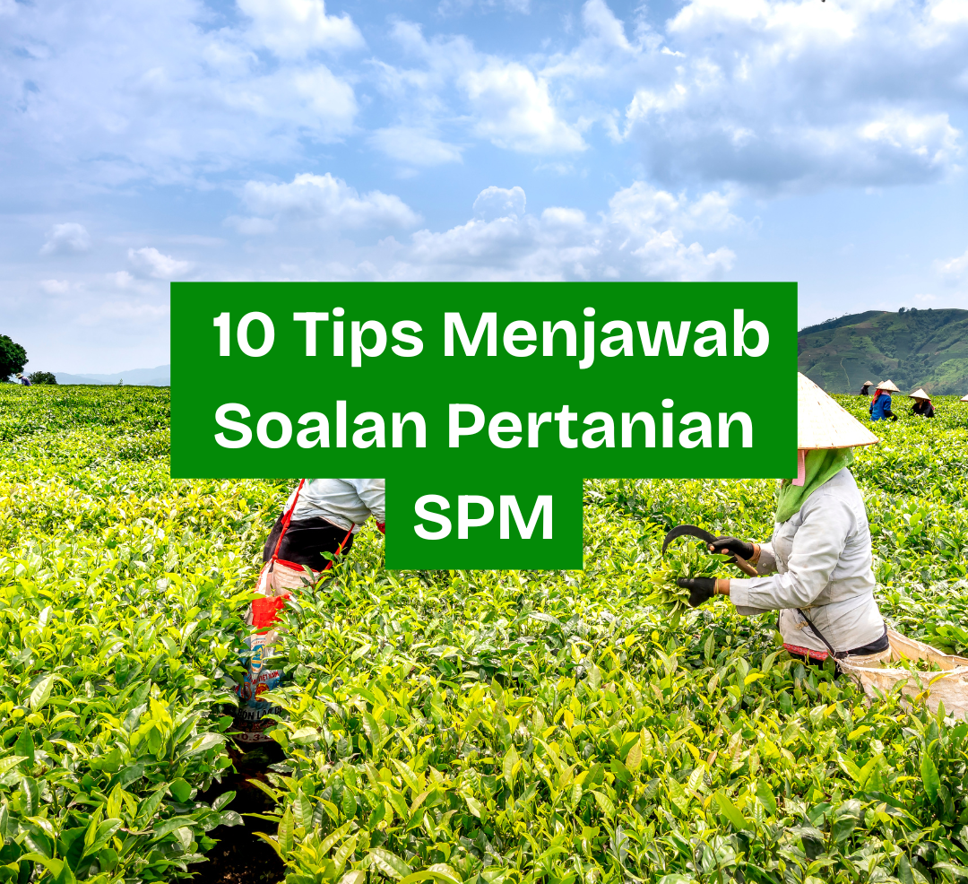 10 Tips menjawab soalan pertanian SPM