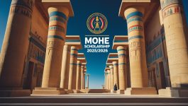 Mesir – Biasiswa MOHE 2025/2026