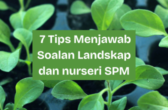 Landskap dan Nurseri
