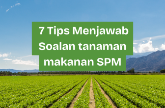 tanaman makanan