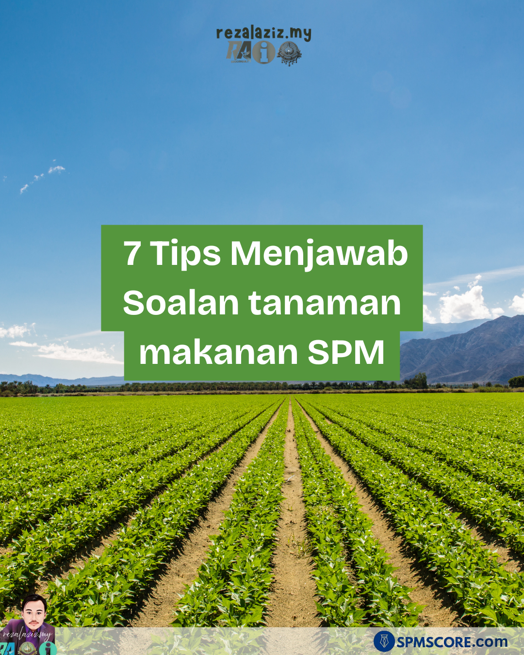 tanaman makanan
