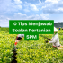 7 Tips Menjawab Soalan Maharat al-Quran SPM