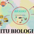 Langkah-langkah Menentukan Halatuju Selepas SPM